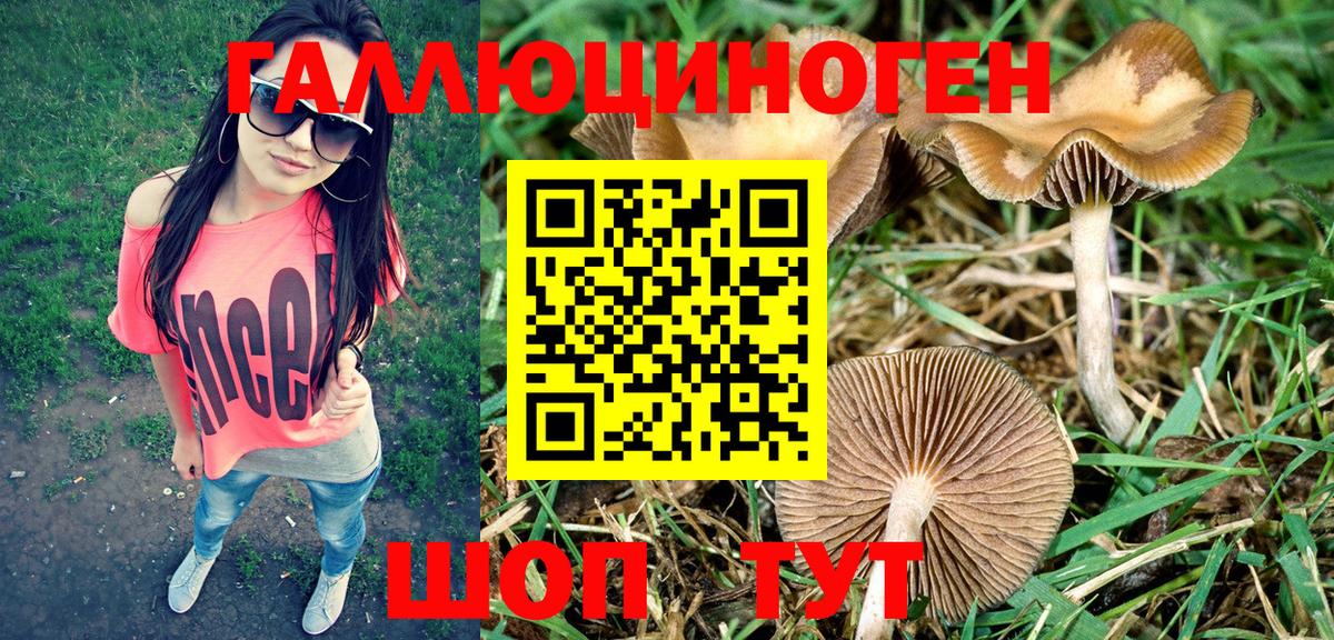 Галлюциногенные грибы MAGIC MUSHROOMS  Галлюциногенные грибы Psilocybine cubensis  Вход с VPN  Тихорецк 